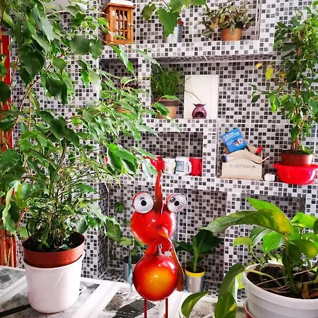 Margareta Apartmanhaz